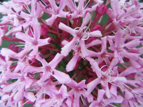 f0231709_00151994.jpg