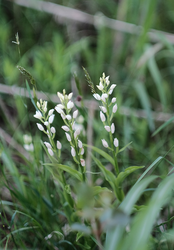 c0082715_13472156.jpg