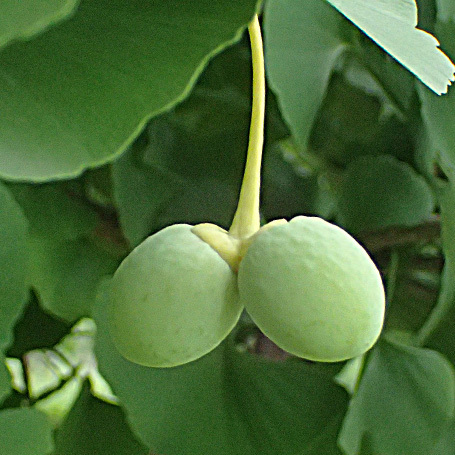 c0190915_22580889.jpg