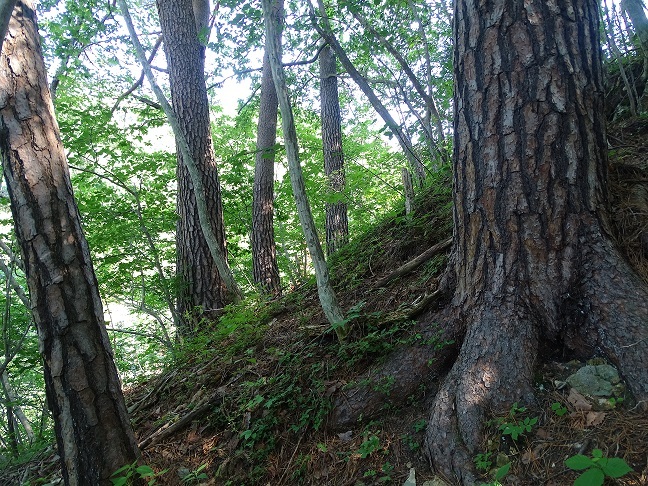 f0360815_16010255.jpg