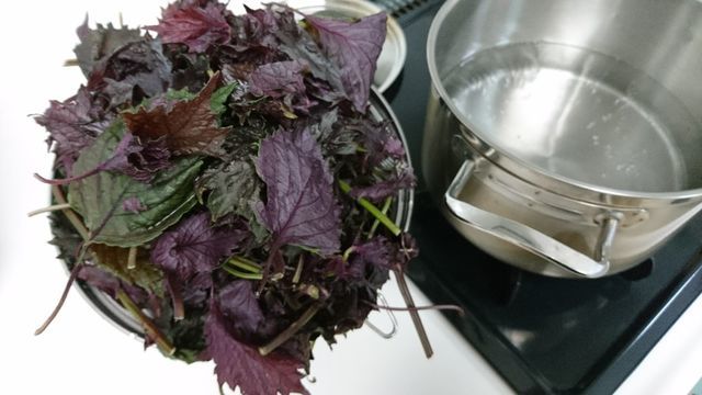 c0317717_17245523.jpg