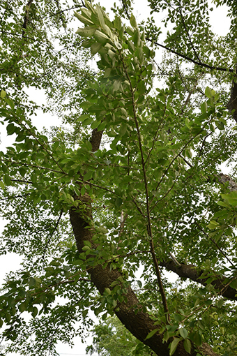 b0259218_01505758.jpg