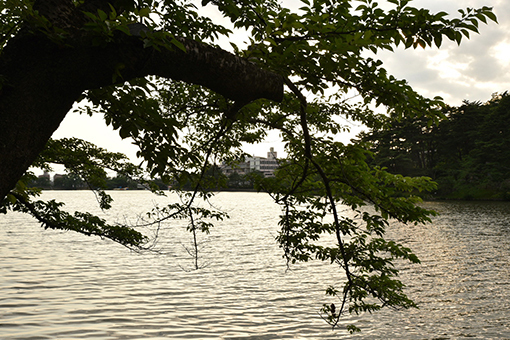 b0259218_01512657.jpg