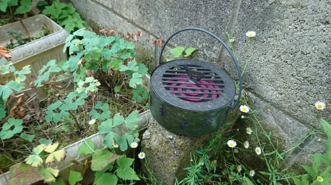 f0182618_20135188.jpg
