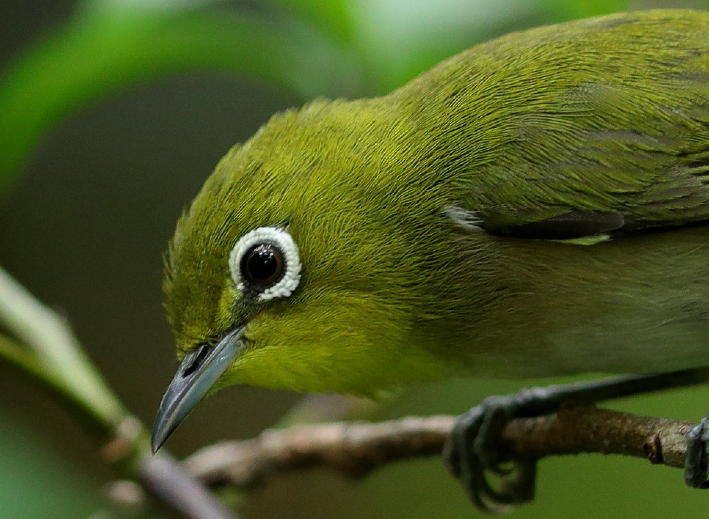 b0179023_20133584.jpg