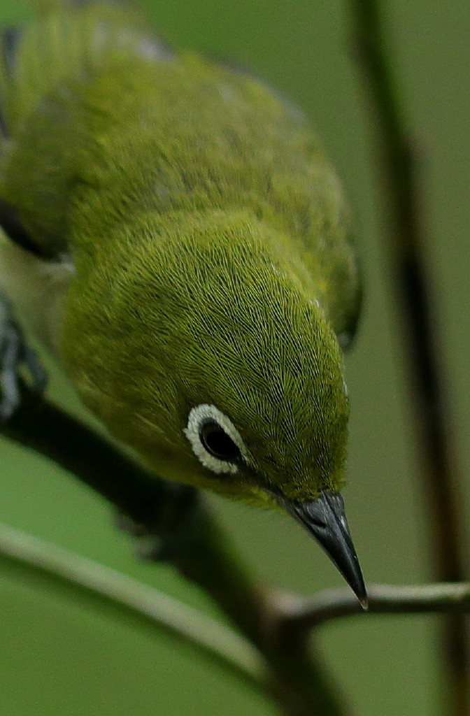 b0179023_20143822.jpg