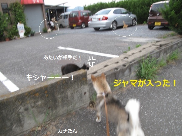 f0143123_13560256.jpg