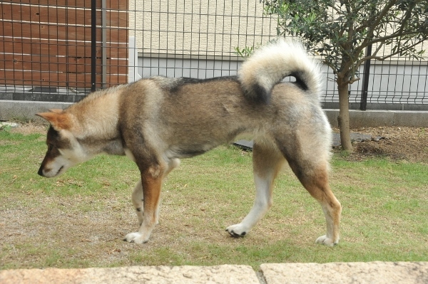 f0143123_14521583.jpg