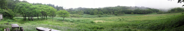 d0162724_22463381.jpg