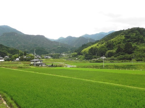 f0213825_10520816.jpg