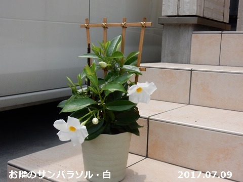 e0033229_1615352.jpg