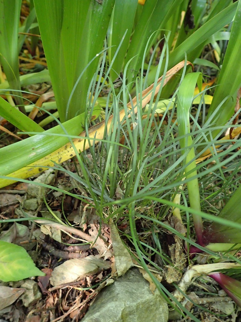 a0209630_22350061.jpg