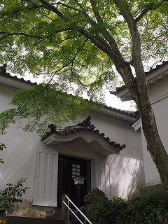a0148431_08584316.jpg