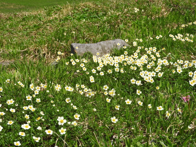 f0118332_21291660.jpg