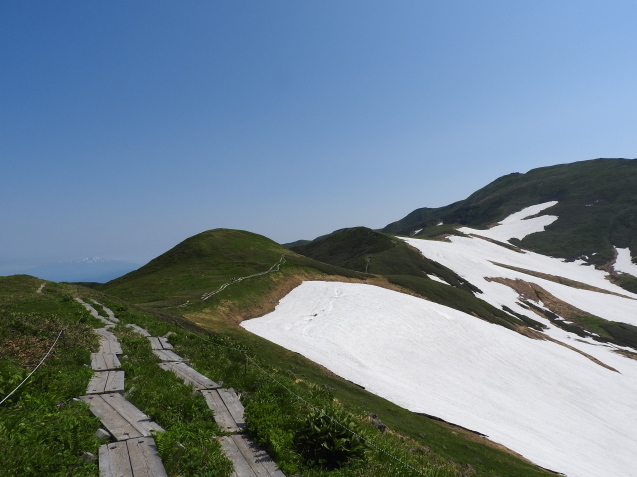 f0118332_21300105.jpg