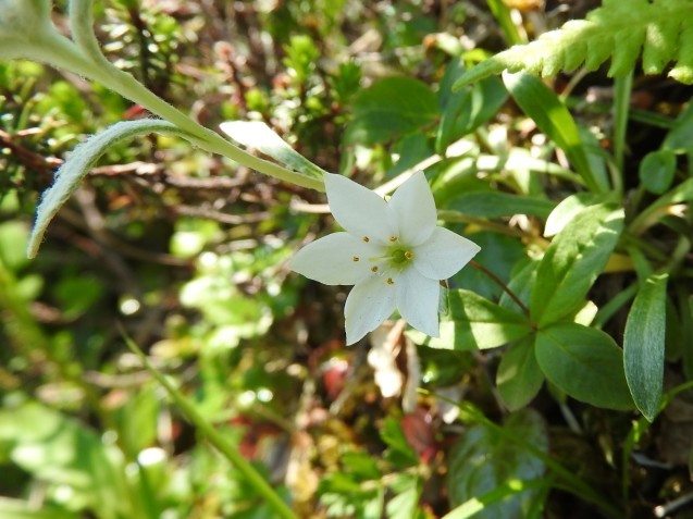 f0118332_21305400.jpg
