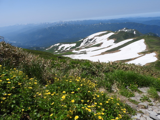 f0118332_21321290.jpg