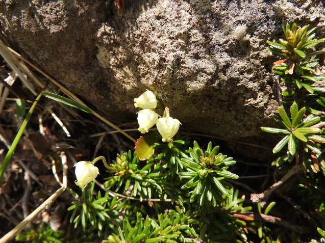 f0118332_21340419.jpg