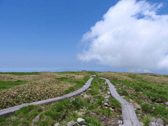 f0118332_21341720.jpg