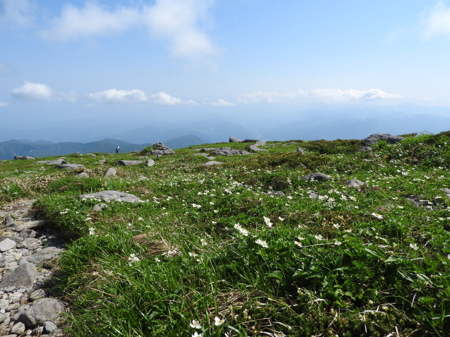 f0118332_21355160.jpg