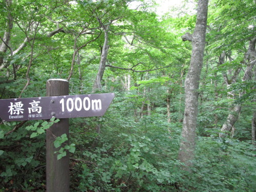 a0345833_22045993.jpg
