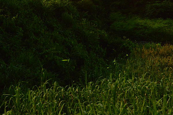 c0172234_23470751.jpg