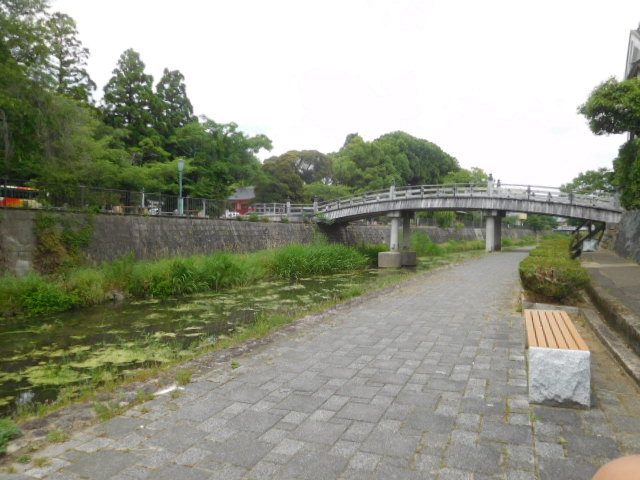 d0106134_19455958.jpg