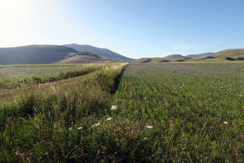 f0234936_8203455.jpg