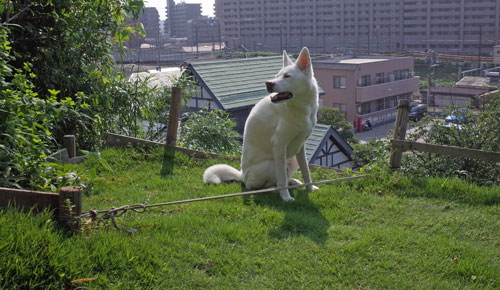 a0117039_20243730.jpg