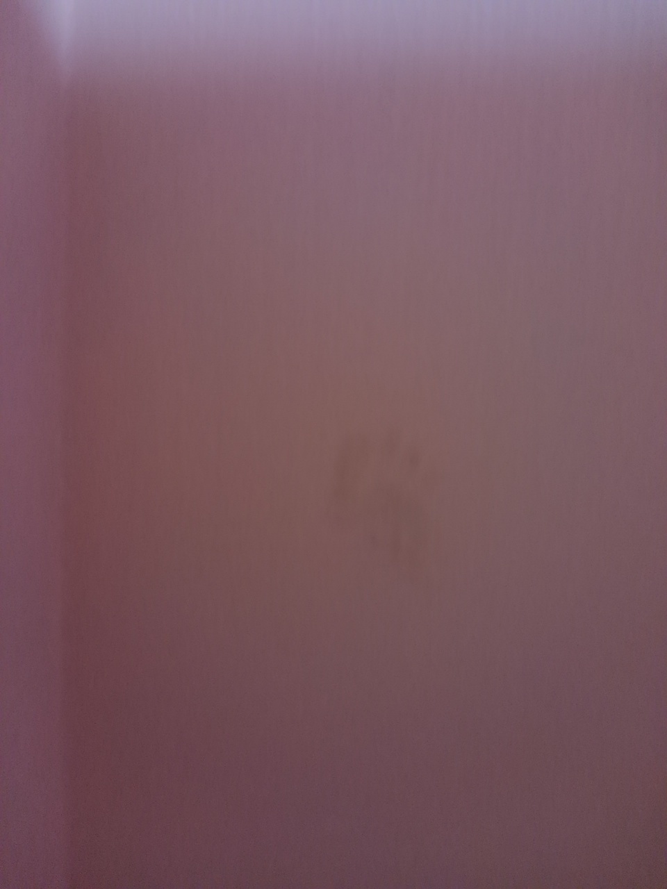 d0244839_08524644.jpg