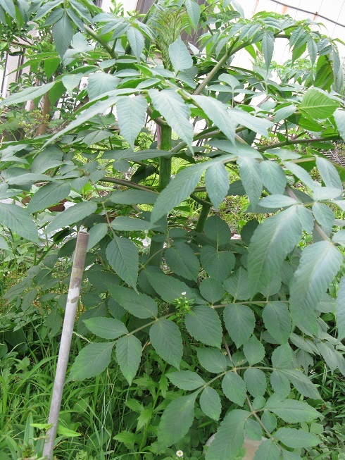 d0333943_20102010.jpg