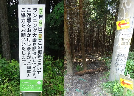 e0172950_2016851.jpg