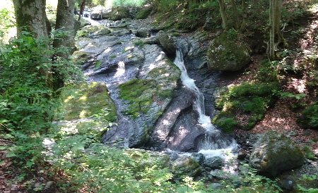 e0172950_2019547.jpg
