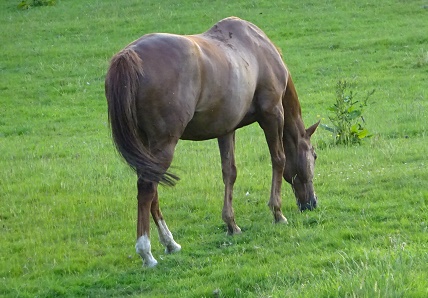 e0010856_4544615.jpg