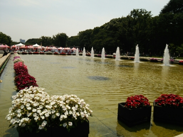 e0047657_14073673.jpg
