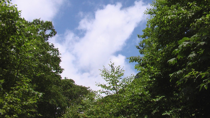 b0208961_1626810.jpg