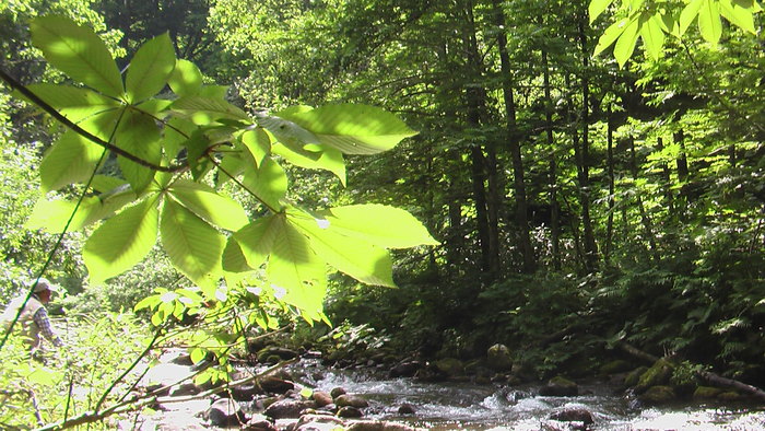 b0208961_16341777.jpg