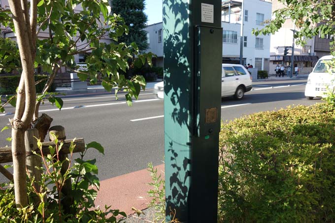 b0075364_21365265.jpg