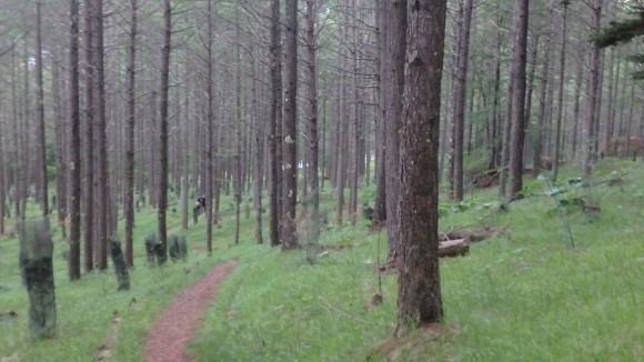 b0050067_23152840.jpg