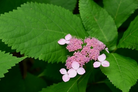 c0303868_09473712.jpg