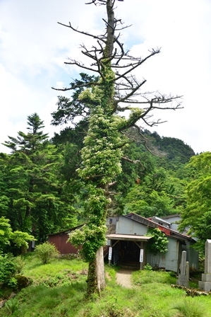 c0303868_09483652.jpg