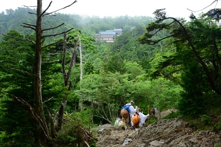 c0303868_10024413.jpg