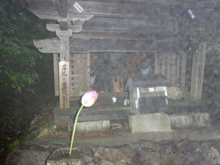 c0303868_10164229.jpg