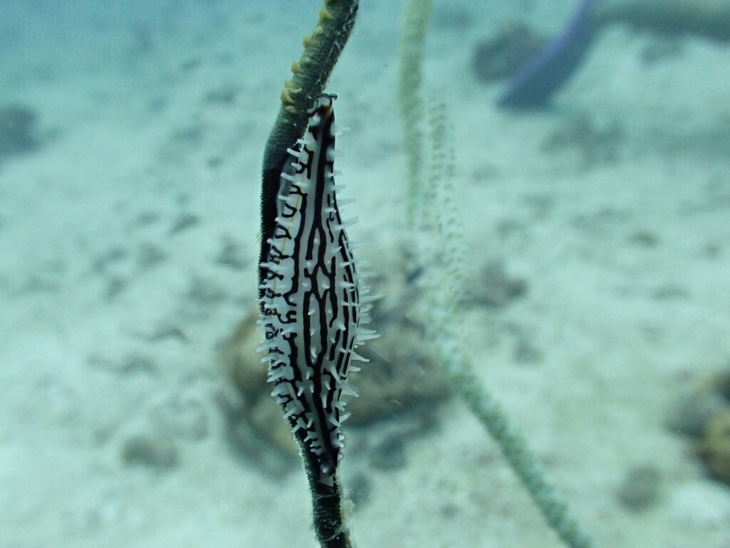 c0039073_02304383.jpg
