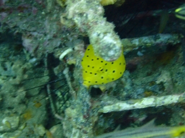 c0039073_02304897.jpg