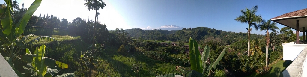 a0170074_17411021.jpg