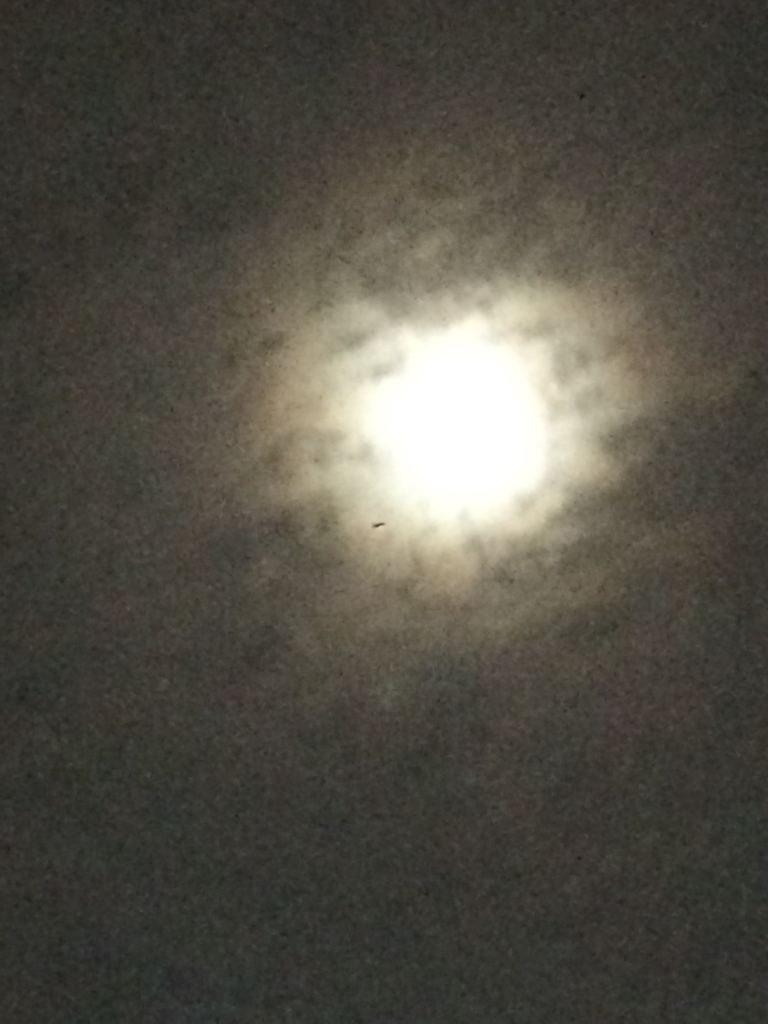 f0152875_08085595.jpg