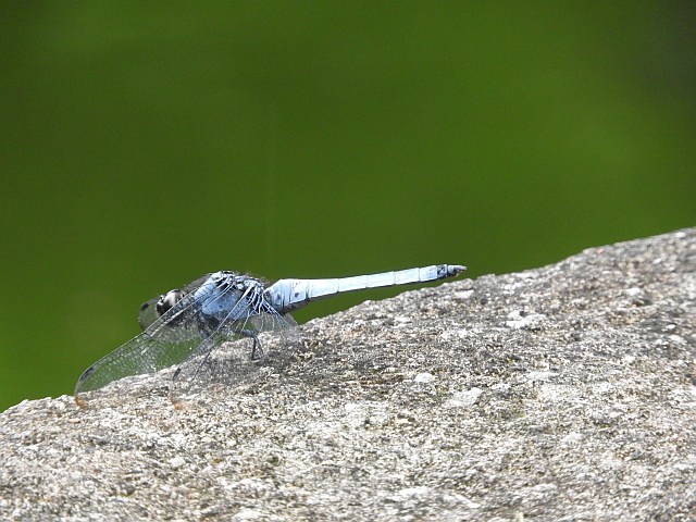 f0378979_18131523.jpg