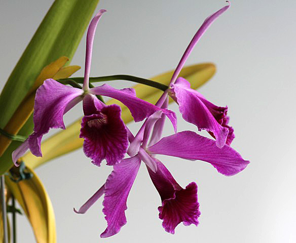d0007501_07334030.jpg