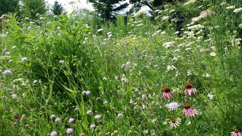 c0320302_20541344.jpg